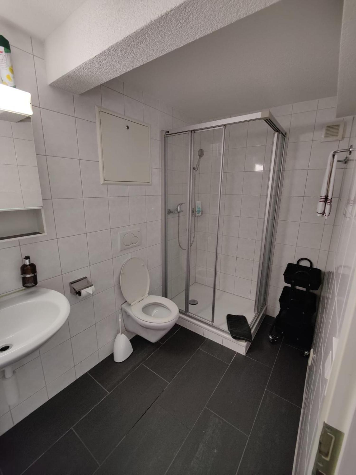 Hubel Apartment 14 Wilderswil Δωμάτιο φωτογραφία